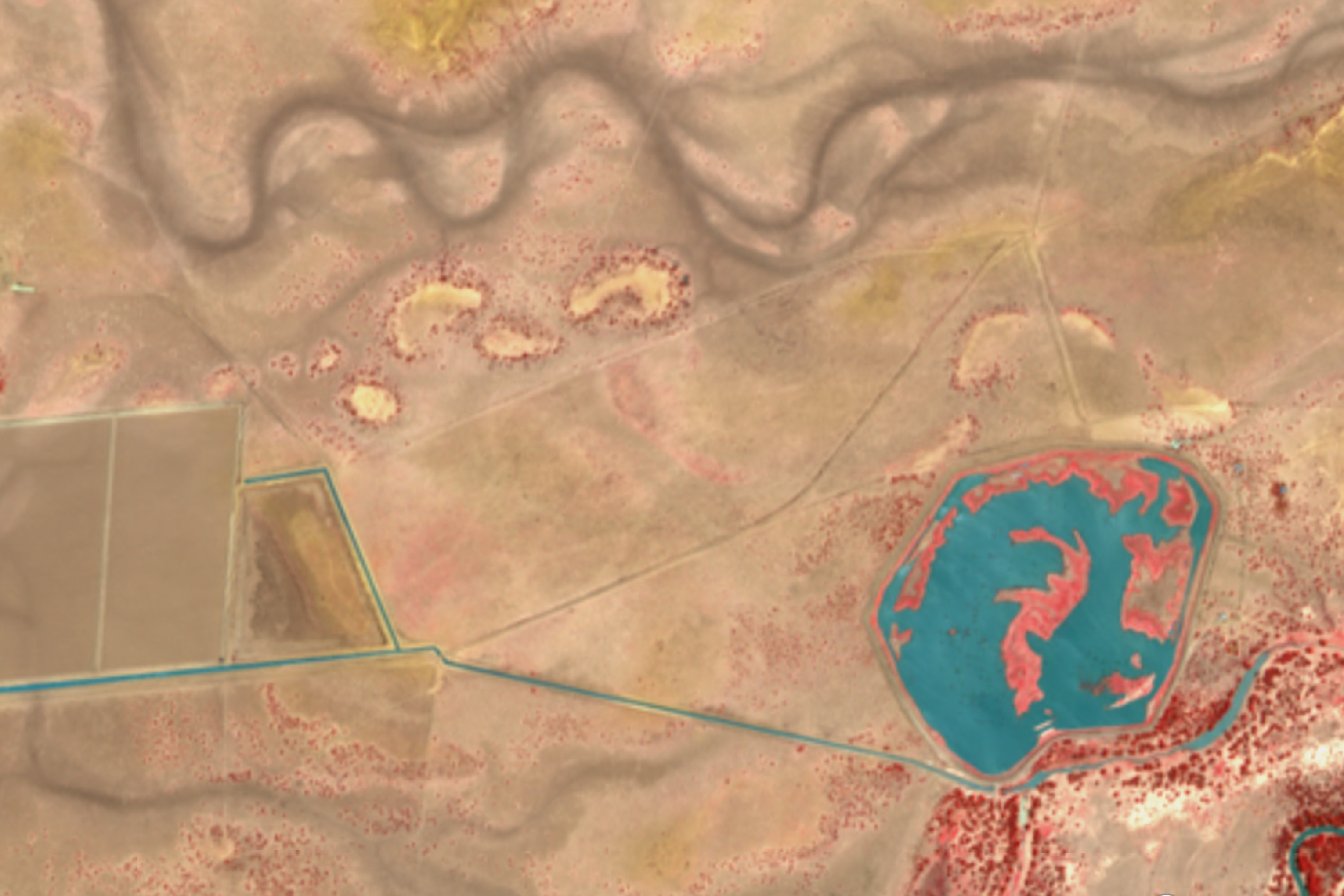 Satellite image of irrigation dam and crops on the Brewarrina property