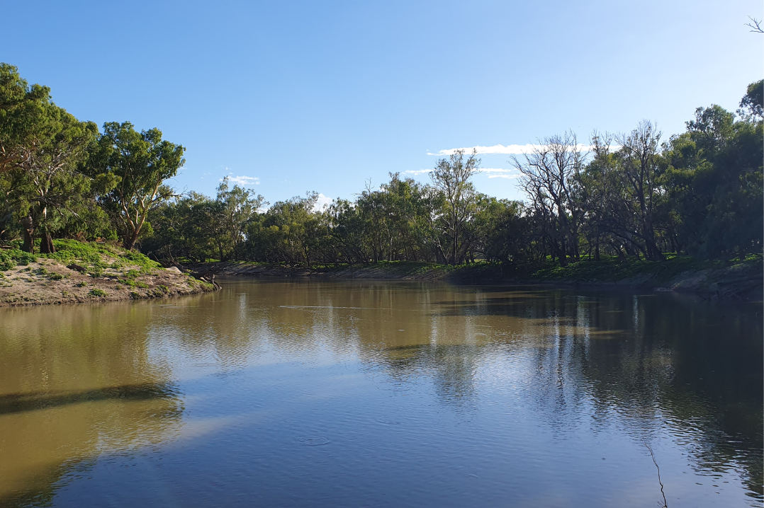 Darling River, Bourke