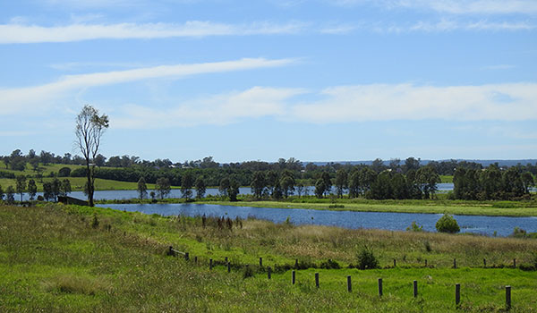 Hawkesbury, 2 Smiths Lane looking east to Bushells