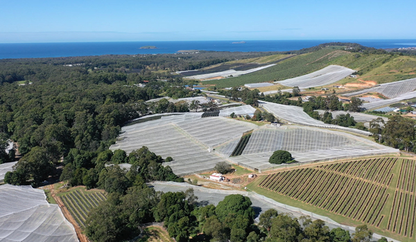 Phase 3 of NRAR's intensive horticulture compliance campaign in Coffs Harbour.