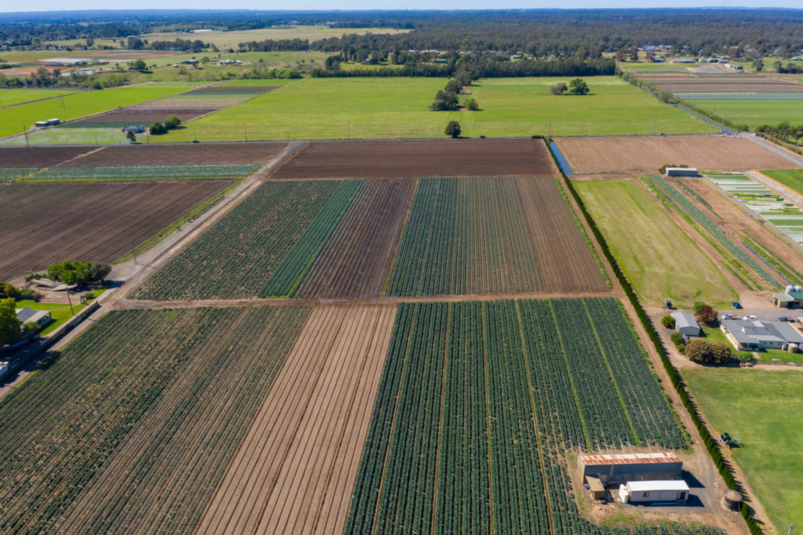 View of irrigated crops taken from the air