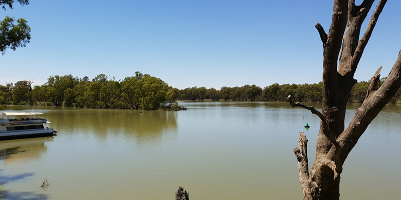 Murray-Darling Basin at Wentworth in NSW.